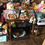 シャドーロール - これが噂の犬小屋