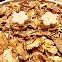 テアトロ ディ マッサ - 