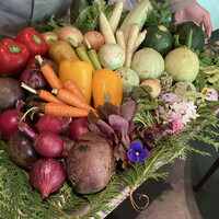 レフェルヴェソンス - 