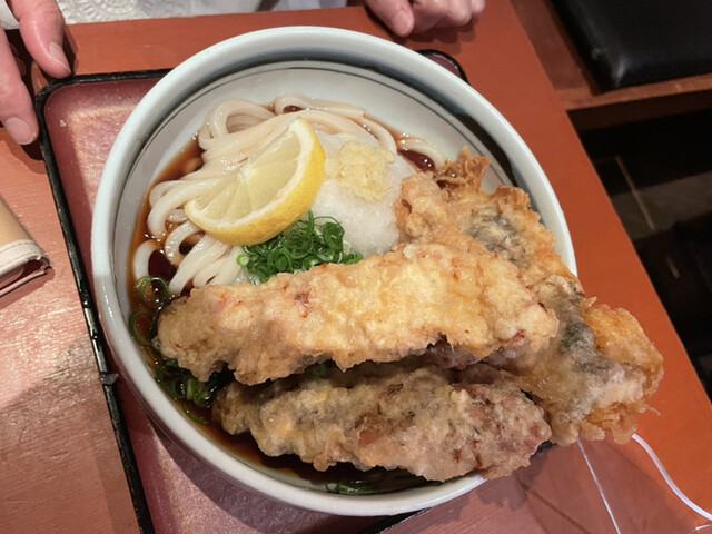 讃歌うどん はんげしょう 西宮 阪神 うどん 食べログ