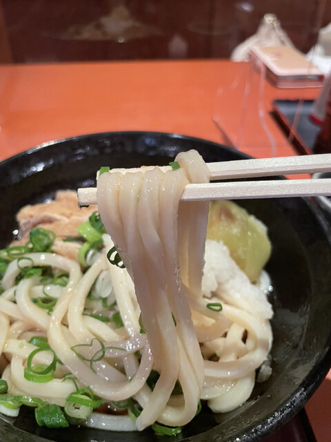 讃歌うどん はんげしょう 西宮 阪神 うどん 食べログ