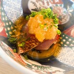 スシコーヒー - 金目鯛のタタキ