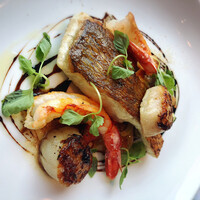 THE COSMOPOLITAN GRILL BAR TERRACE - 