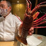 初音鮨 - 本日の伊勢海老