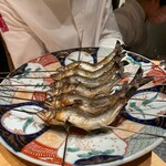 初音鮨 - 鮎の備長炭焼き