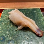 初音鮨 - ミル貝(塩・カボス)