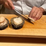 初音鮨 - 本日の鮑