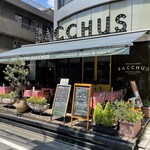 BACCHUS - 