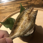 温石 - 稚鮎よりは大っきくなっちゃっているかな。アユチップにするには丁度良いサイズかも。