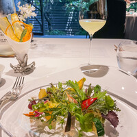 レフェルヴェソンス - 