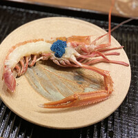 鎌倉 北じま - アカザエビにブルーキャビア（卵巣塩漬け）