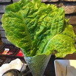 炭火焼肉 丑年 - 