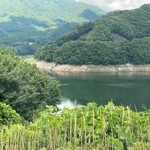 朝日屋 - チョイ草木ダム水少なくなったな。
      明後日、台風で増えるか。
      嫌だ台風⤵️