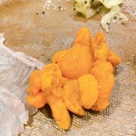 うを徳 - 礼文島産　蝦夷馬糞海胆