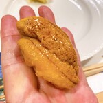 うを徳 - 函館産　紫海胆