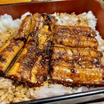 Unagi nanpuu - 