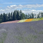 とみたメロンハウス - 【2021年07月】ファームにて。