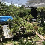 漁師料理十次郎 - 