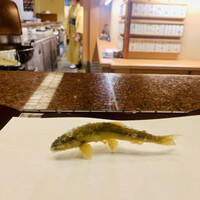 京都祇園 天ぷら八坂圓堂 - 