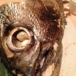 町田観光 五つ星 - まぐろっ‼ インパクト絶大☆