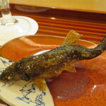 割烹 市川 - 美味しい♡