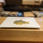 神楽坂 よこ田 - 