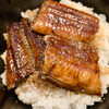 Mitsukeya - 定食のミニうなぎ丼