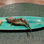 菅井 - 【焼き物】活鮎塩焼きたで酢で、食用ほうずき