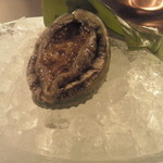 横浜うかい亭 - 鮑　生きてます