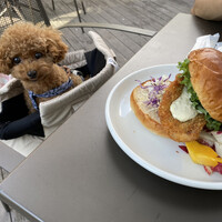 ユニオン スクエア トウキョウ - 