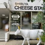 SHIBUYA CHEESE STAND - 