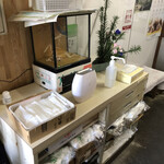 須崎食料品店 - 内観