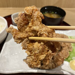 Tsukune Karaage Remon Sawa Tegoneya - 