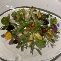 レフェルヴェソンス - 