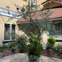 シェムラブルリス - 