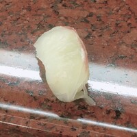 菊水 桜町本店 - 