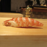 鮨 尚充 - 車海老