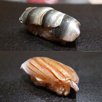 鮨 こしかわ - しんこ、春子鯛