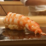 鮨 むらやま - 車海老