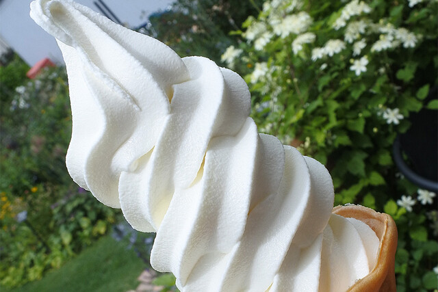 風花（フウカ） - 近文（ジェラート・アイスクリーム）の写真