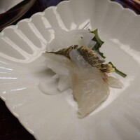 鍋茶屋 光琳 - 鯒