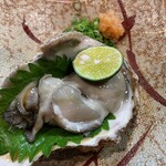 Warai - 岩牡蠣