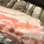 焼鳥どろまみれ - やまと豚