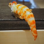 Sushi Senzu - 車海老