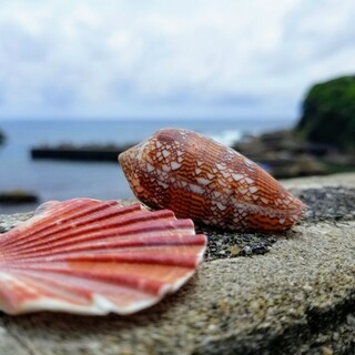 海が見える 高知でおすすめのカフェをご紹介 食べログ 海が見える 高知でおすすめのカフェをご紹介 食べログ