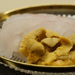 道人 - 赤雲丹とあこう