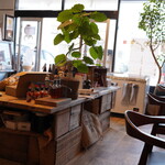 PIZZERIA MIA