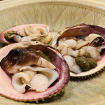 魚菜料理 縄屋 - 7. 【鉢肴1】
      蒸焼きトリガイ