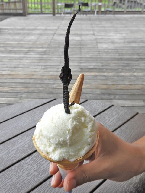 ミニ尾瀬公園 インフォメーションセンター カフェ - 檜枝岐村その他（カフェ）の写真