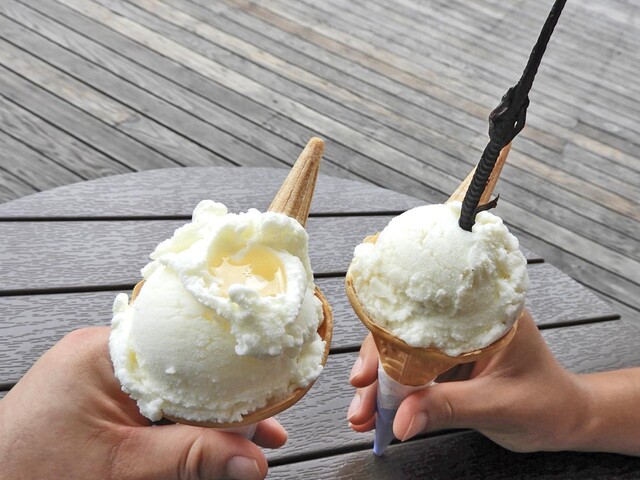 ミニ尾瀬公園 インフォメーションセンター カフェ - 檜枝岐村その他（カフェ）の写真